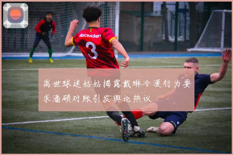 离世球迷姑姑揭露戴琳冷漠行为要求潘硕对账引发舆论热议