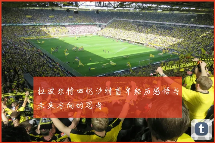 拉波尔特回忆沙特首年经历感悟与未来方向的思考