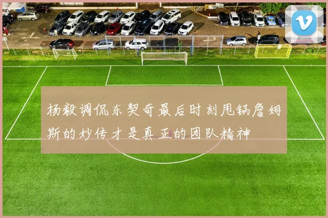 杨毅调侃东契奇最后时刻甩锅詹姆斯的妙传才是真正的团队精神